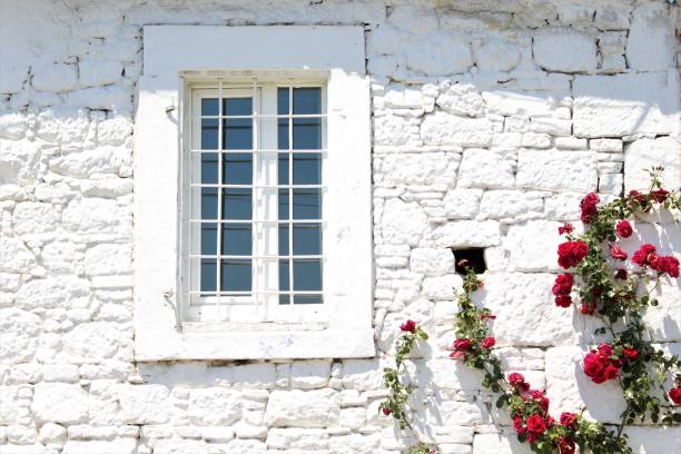 reliable window replacement in new hope al